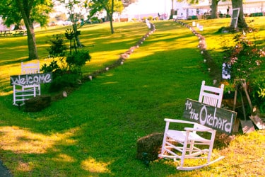 Dinner in the Orchard